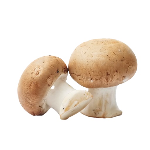 [61432] BROWN MUSHROOMS - 4648