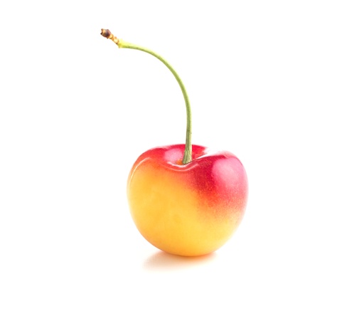[84776] White Cherries 1lb