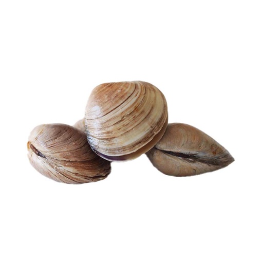 [87907] Pusateri's Littleneck Clams 1lb