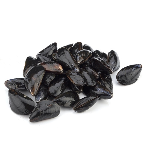 [88065] MUSSELS PEI LIVE