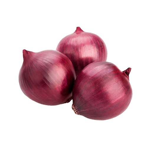[89373] RED ONION