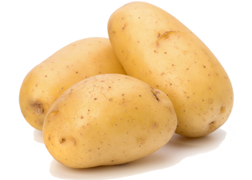 [92493] WHITE POTATO