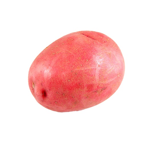 [92494] RED POTATO