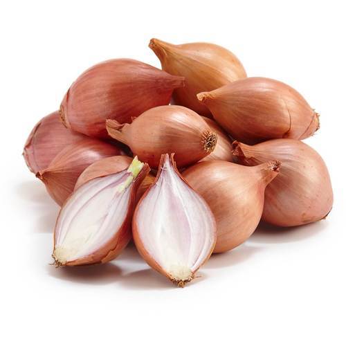 [92498] SHALLOTS - 4662