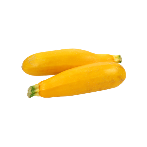 [95626] YELLOW ZUCCHINI