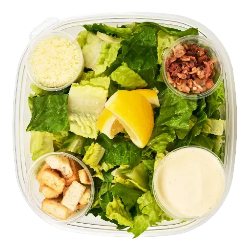 [101681] Caesar Salad - Medium  1ea