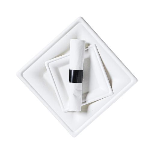 [102065] SETUPS - COCKTAIL **SMALL PLATES, COCKTAIL NAPKINS, FORKS***