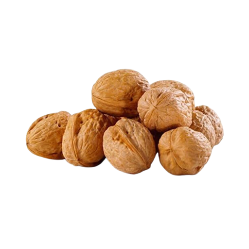 [105211] WALNUTS SHELL
