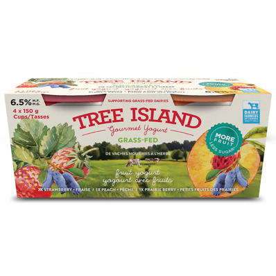 [134421] TREE ISLAND 6.5% FRUIT MULTIPACK YOGURT 4X150G