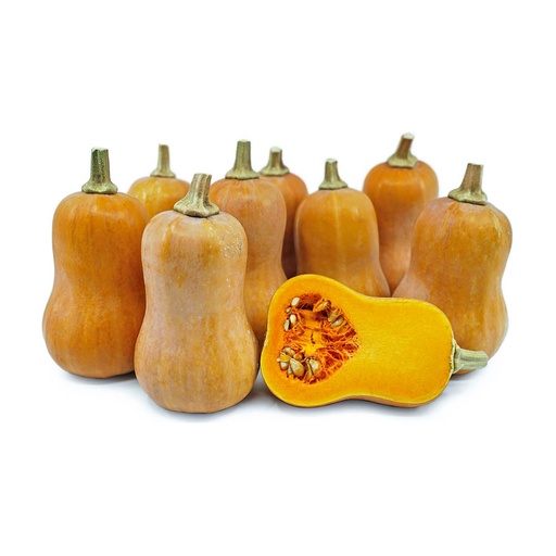 [158286] HONEYNUT SQUASH