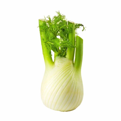 [244968] FENNEL