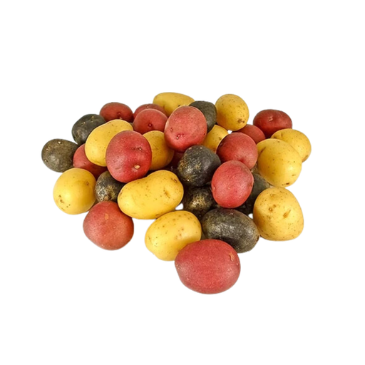[336244] MIXED MINI POTATOES