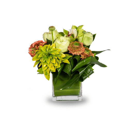 MODERN ARRANGEMENT - Parent