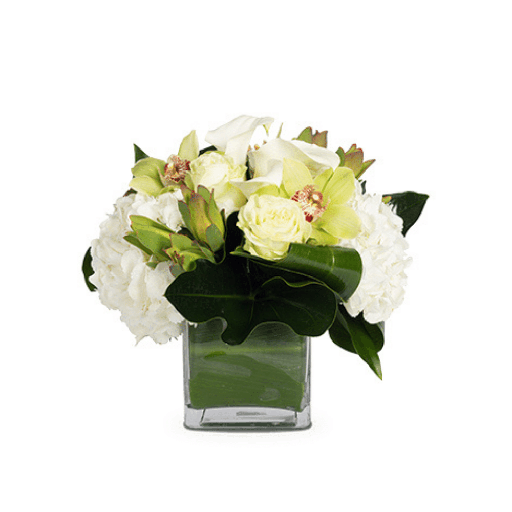 CLASSIC ARRANGEMENT - Parent