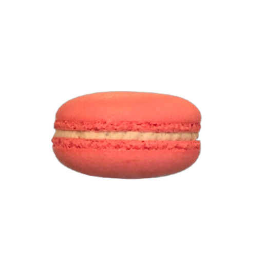 [478853] Ag Hazelnut Macaron 18G
