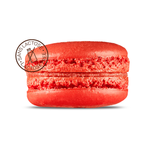 [116500] Point G Macaron Poppy Flower 15G
