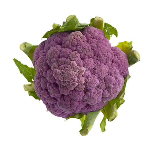 [97207] Cauliflower Purple 1ea