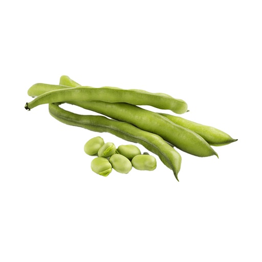 [60606] Fresh Fava Beans 1lb