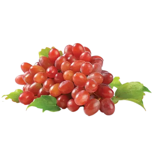 [59592] Grapes Red Seedless Organic 1lb