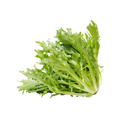 [167898] Lettuce Frisee 1ea