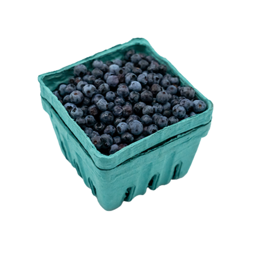 [100210] Local Wild Blueberries 1pt