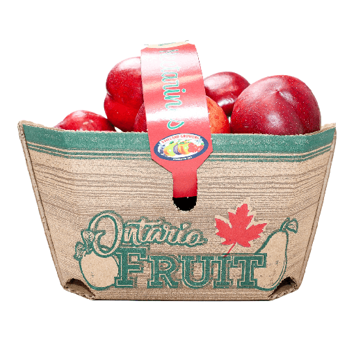 [60265] Ontario Nectarine Basket 2lt