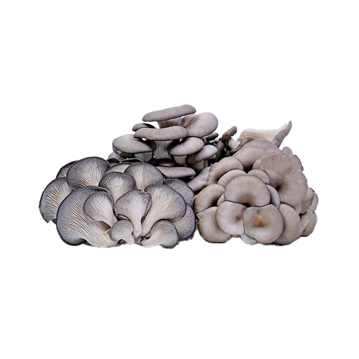 [60142] Organic Black Oyster Mushrooms 150g