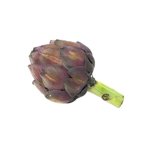 [251798] Purple Artichokes 1ea