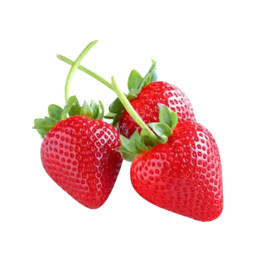 [61447] Strawberries Long Stem 1lb