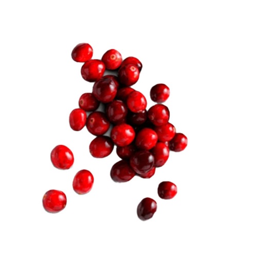 [46411] Bagged Fresh Cranberries 340g