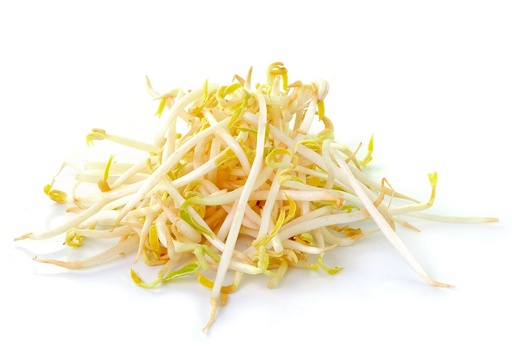[60186] Bean Sprouts 500g