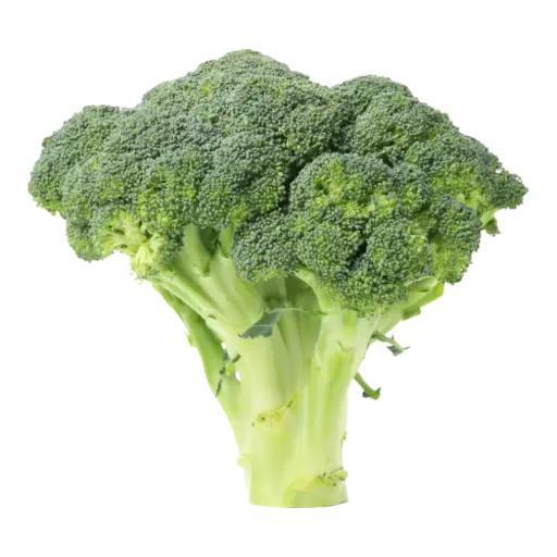 [60946] Broccoli Organic 1ea