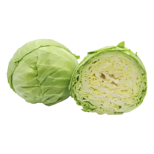 [60725] Cabbage Green Ontario 1ea