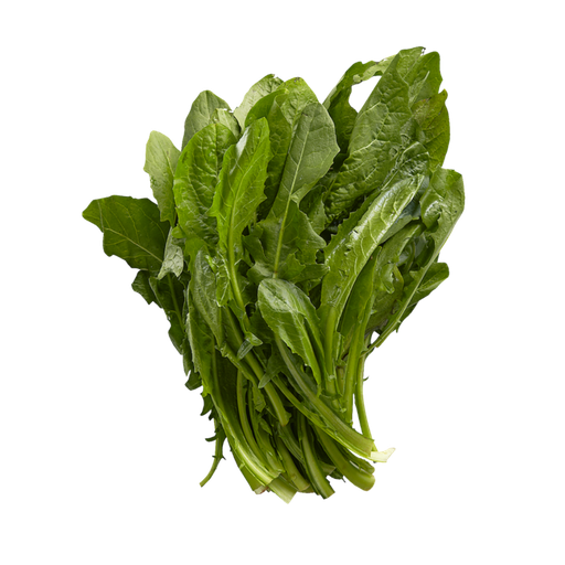 [61222] Dandelion 1ea