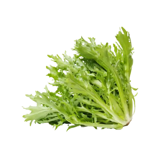 [108696] Lettuce Frisee 1ea