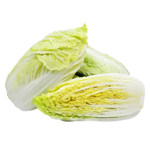 [61003] Napa Cabbage 1.5lb