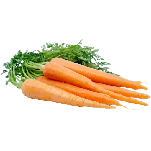 [60374] Organic Carrot Bunch 1ea