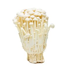 [60637] Organic Enoki Mushrooms 150g