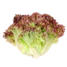 [59983] Organic Red Leaf Lettuce 1ea