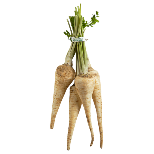 [60858] Parsley Root 1ea