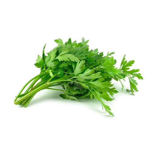 [60614] Plain Parsley 1ea