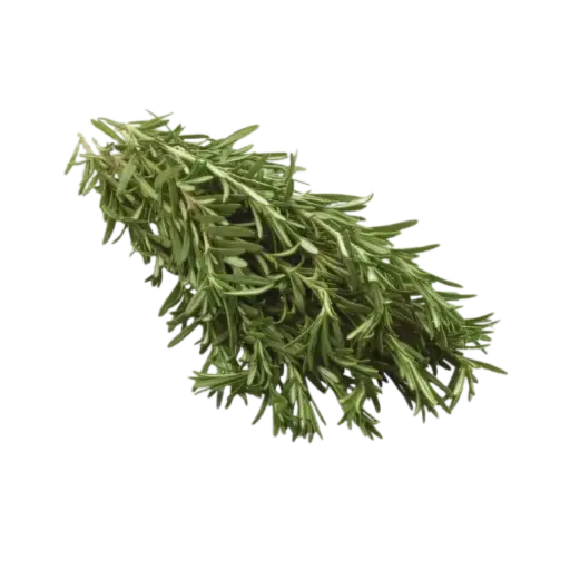 [126468] Pusateri's Fresh Rosemary 0.1lb