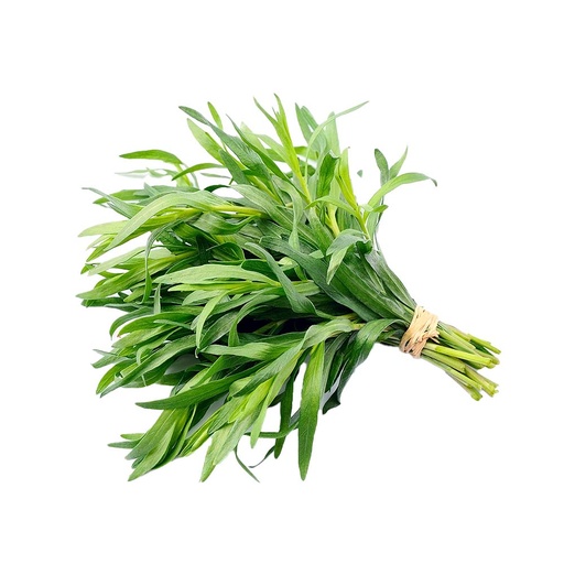 [126456] Pusateri's Fresh Tarragon 0.1lb