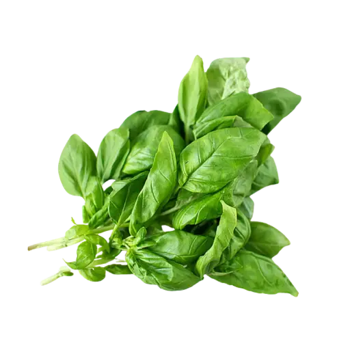 [126466] Pusateri's Fresh Basil 0.08lb