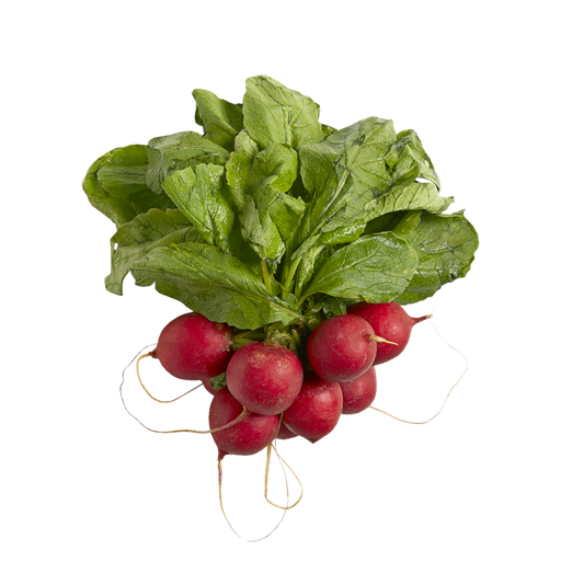 [61437] Radish Bunch 1ea
