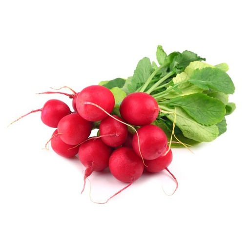 [89545] Radish Bunch 1ea