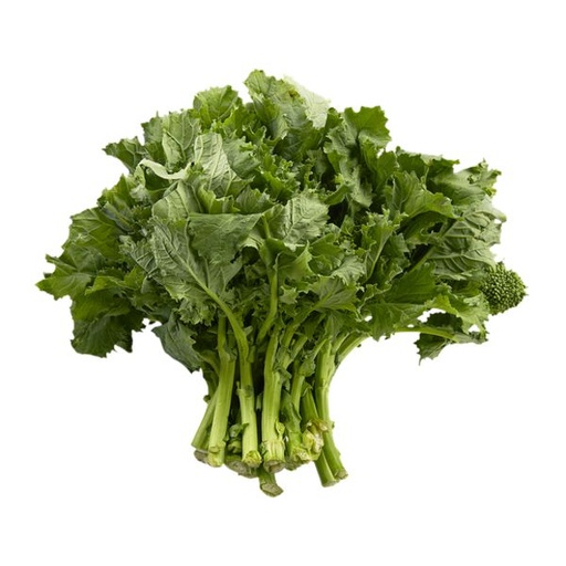 [61002] Rapini 1ea