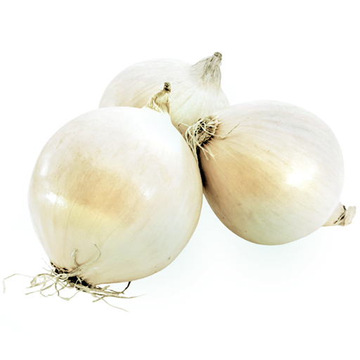 [92497] White Onion 1lb