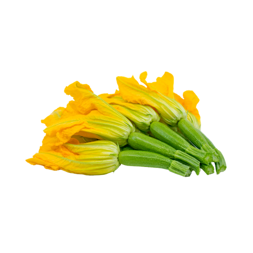 G-Zucchini Blossoms